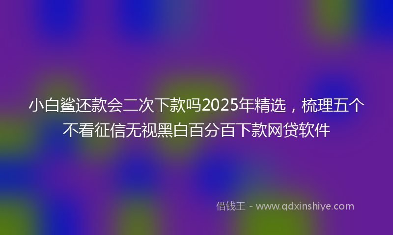 小白鲨还款会二次下款吗2025年精选，梳理五个不看征信无视黑白百分百下款网贷软件