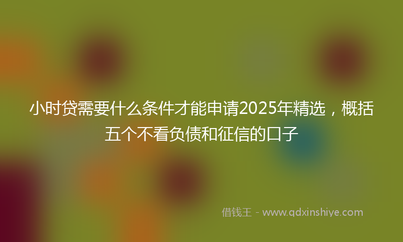 小时贷需要什么条件才能申请2025年精选，概括五个不看负债和征信的口子