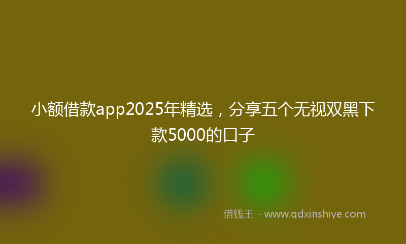 小额借款app2025年精选，分享五个无视双黑下款5000的口子