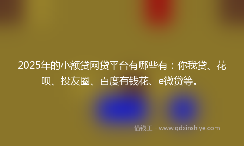2025年的小额贷网贷平台有哪些有：你我贷、花呗、投友圈、百度有钱花、e微贷等。