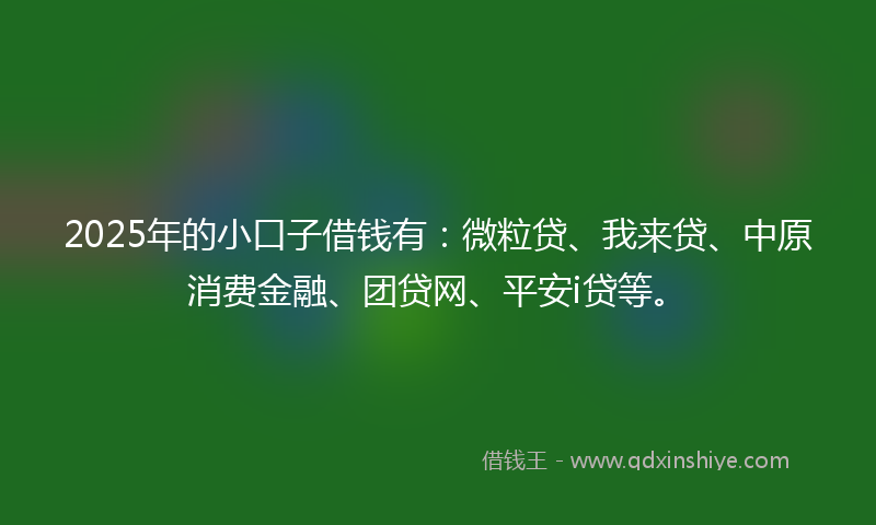 2025年的小口子借钱有：微粒贷、我来贷、中原消费金融、团贷网、平安i贷等。