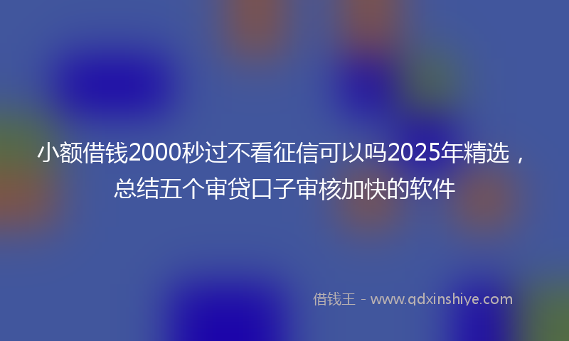 小额借钱2000秒过不看征信可以吗2025年精选，总结五个审贷口子审核加快的软件