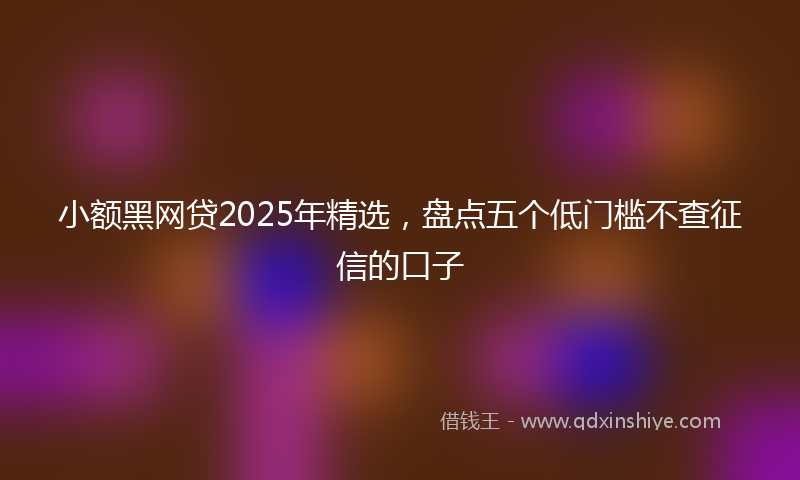 小额黑网贷2025年精选，盘点五个低门槛不查征信的口子