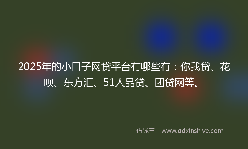 2025年的小口子网贷平台有哪些有：你我贷、花呗、东方汇、51人品贷、团贷网等。