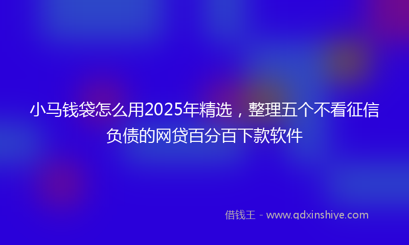 小马钱袋怎么用2025年精选，整理五个不看征信负债的网贷百分百下款软件
