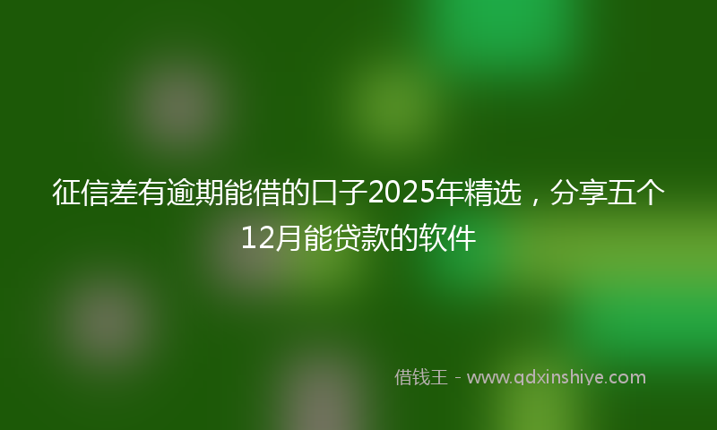 征信差有逾期能借的口子2025年精选，分享五个12月能贷款的软件