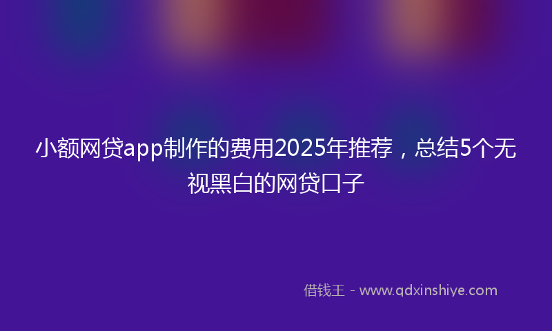 小额网贷app制作的费用2025年推荐，总结5个无视黑白的网贷口子