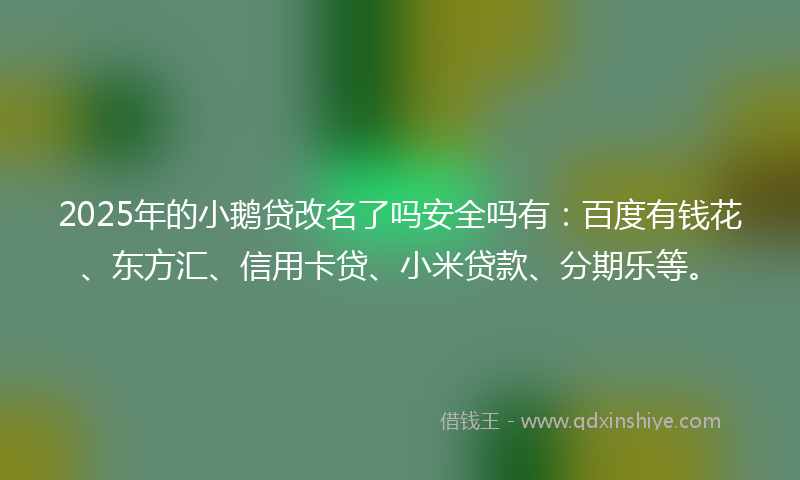 2025年的小鹅贷改名了吗安全吗有：百度有钱花、东方汇、信用卡贷、小米贷款、分期乐等。