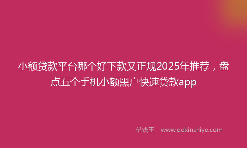 小额贷款平台哪个好下款又正规2025年推荐，盘点五个手机小额黑户快速贷款app