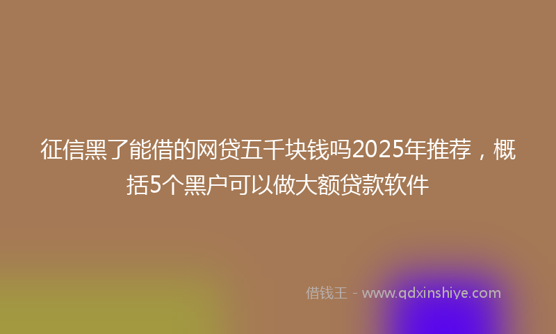 征信黑了能借的网贷五千块钱吗2025年推荐，概括5个黑户可以做大额贷款软件