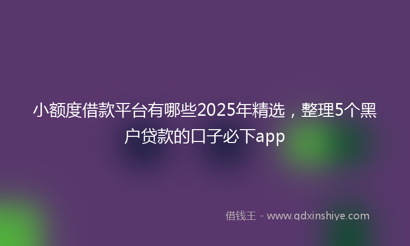 小额度借款平台有哪些2025年精选，整理5个黑户贷款的口子必下app