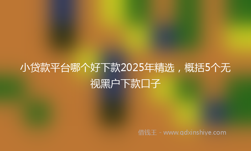 小贷款平台哪个好下款2025年精选，概括5个无视黑户下款口子
