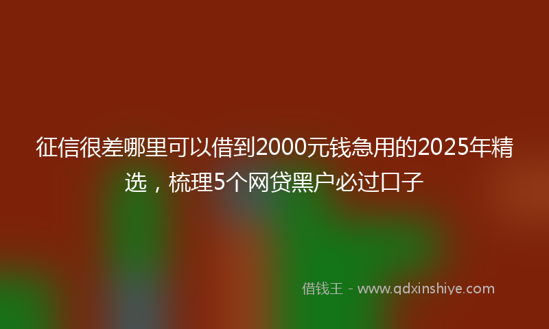 征信很差哪里可以借到2000元钱急用的2025年精选，梳理5个网贷黑户必过口子