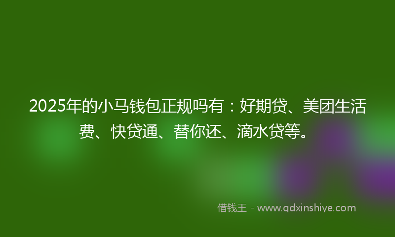 2025年的小马钱包正规吗有：好期贷、美团生活费、快贷通、替你还、滴水贷等。