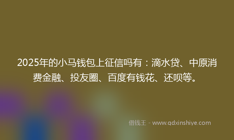 2025年的小马钱包上征信吗有：滴水贷、中原消费金融、投友圈、百度有钱花、还呗等。