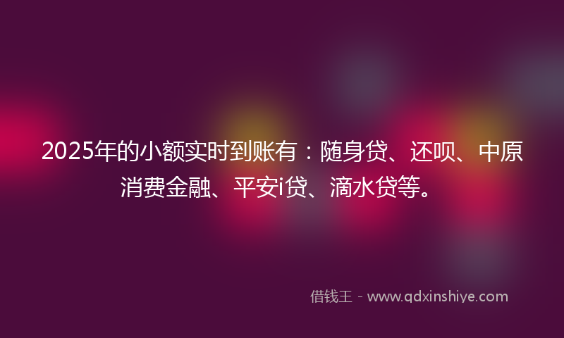2025年的小额实时到账有：随身贷、还呗、中原消费金融、平安i贷、滴水贷等。