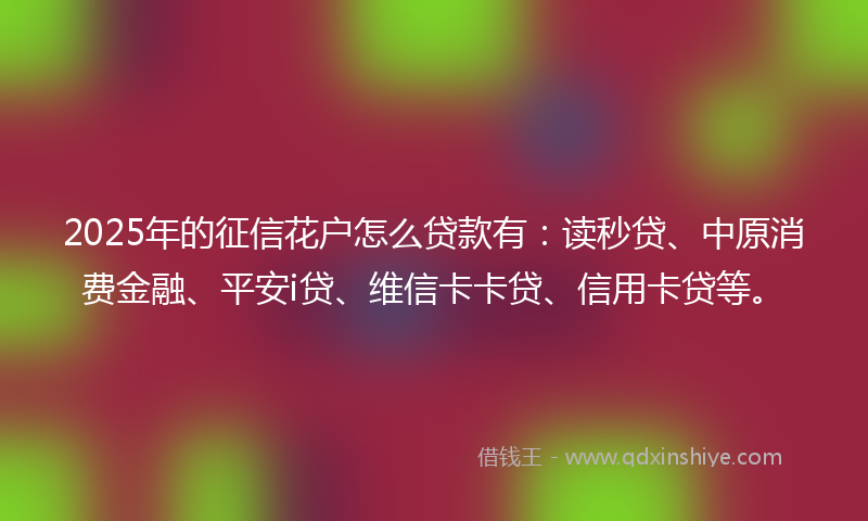 2025年的征信花户怎么贷款有：读秒贷、中原消费金融、平安i贷、维信卡卡贷、信用卡贷等。