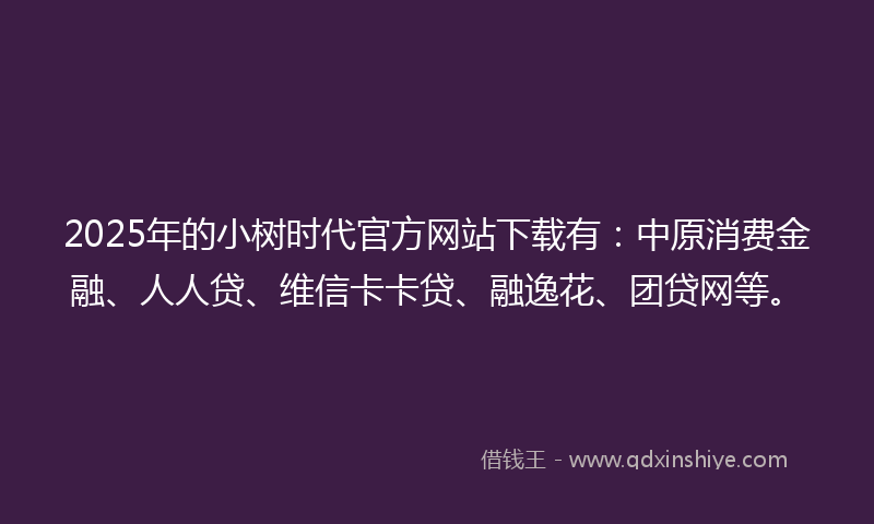 2025年的小树时代官方网站下载有：中原消费金融、人人贷、维信卡卡贷、融逸花、团贷网等。