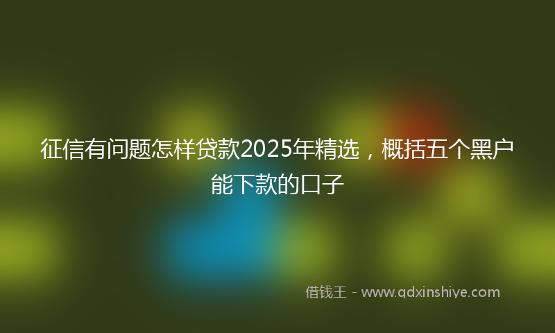 征信有问题怎样贷款2025年精选，概括五个黑户能下款的口子