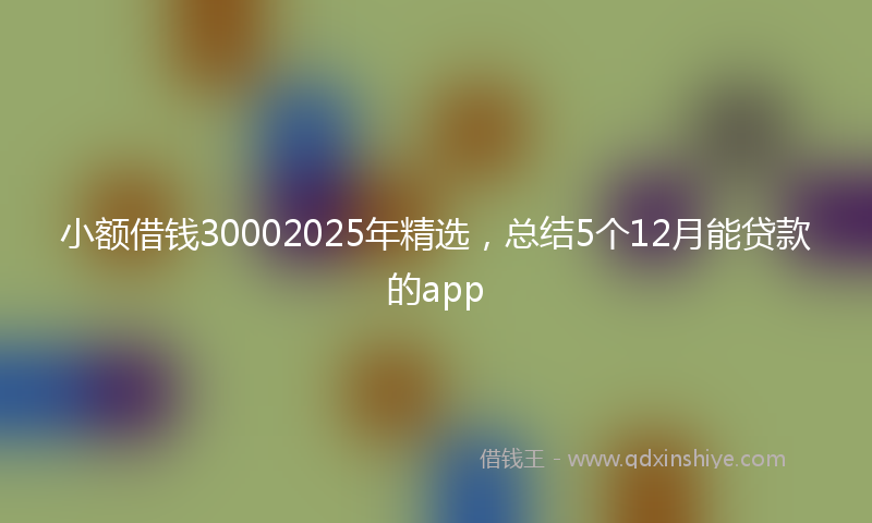 小额借钱30002025年精选，总结5个12月能贷款的app