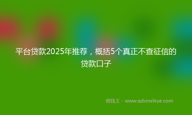 平台贷款2025年推荐，概括5个真正不查征信的贷款口子