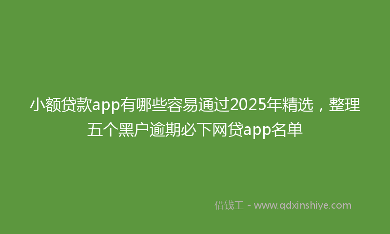小额贷款app有哪些容易通过2025年精选，整理五个黑户逾期必下网贷app名单