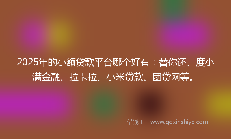 2025年的小额贷款平台哪个好有：替你还、度小满金融、拉卡拉、小米贷款、团贷网等。