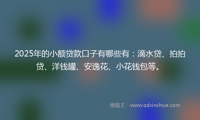 2025年的小额贷款口子有哪些有：滴水贷、拍拍贷、洋钱罐、安逸花、小花钱包等。