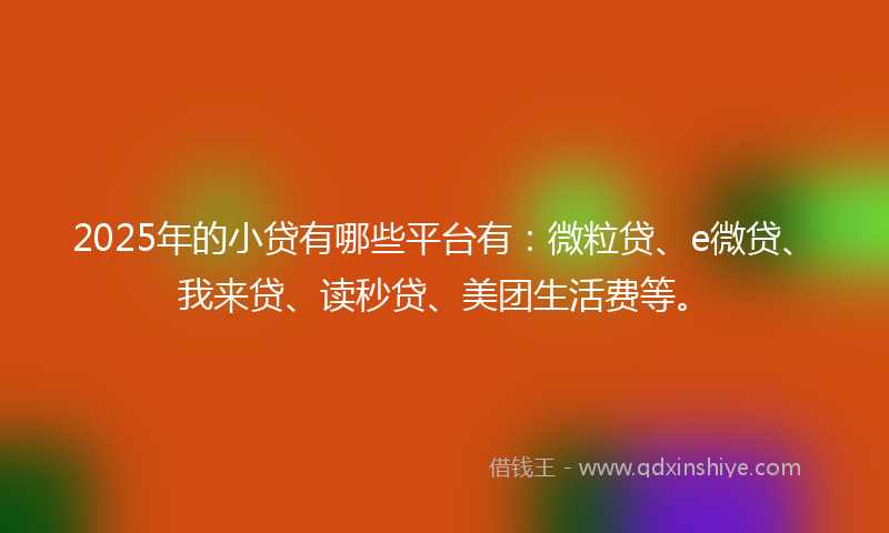 2025年的小贷有哪些平台有：微粒贷、e微贷、我来贷、读秒贷、美团生活费等。