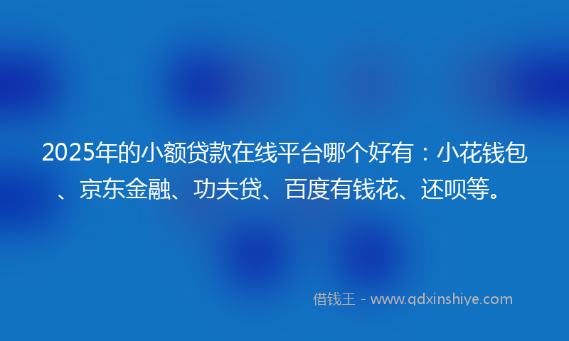 2025年的小额贷款在线平台哪个好有：小花钱包、京东金融、功夫贷、百度有钱花、还呗等。