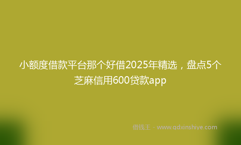 小额度借款平台那个好借2025年精选，盘点5个芝麻信用600贷款app