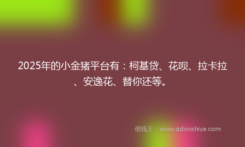 2025年的小金猪平台有：柯基贷、花呗、拉卡拉、安逸花、替你还等。