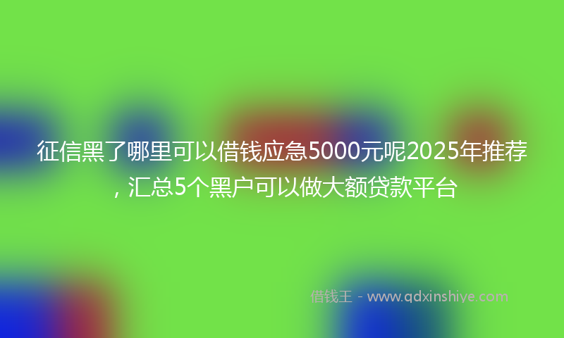 征信黑了哪里可以借钱应急5000元呢2025年推荐，汇总5个黑户可以做大额贷款平台