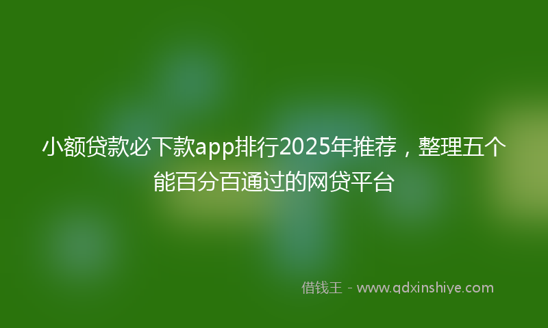 小额贷款必下款app排行2025年推荐，整理五个能百分百通过的网贷平台
