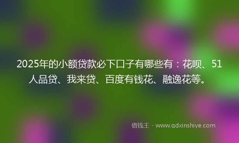 2025年的小额贷款必下口子有哪些有：花呗、51人品贷、我来贷、百度有钱花、融逸花等。