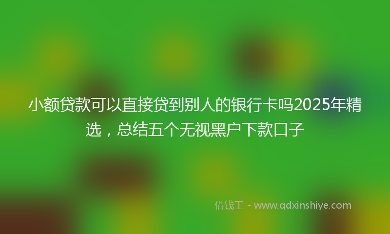 小额贷款可以直接贷到别人的银行卡吗2025年精选，总结五个无视黑户下款口子