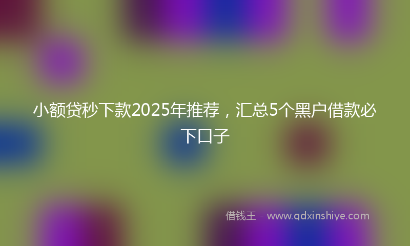 小额贷秒下款2025年推荐，汇总5个黑户借款必下口子
