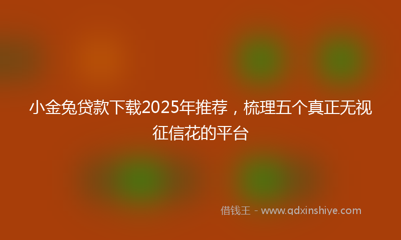 小金兔贷款下载2025年推荐，梳理五个真正无视征信花的平台