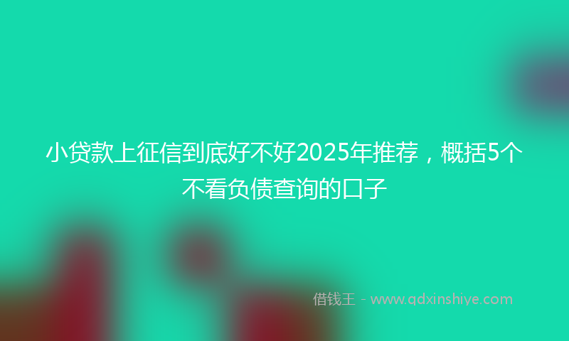 小贷款上征信到底好不好2025年推荐，概括5个不看负债查询的口子