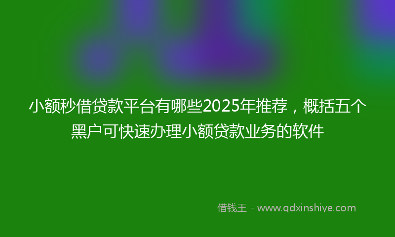 小额秒借贷款平台有哪些2025年推荐，概括五个黑户可快速办理小额贷款业务的软件
