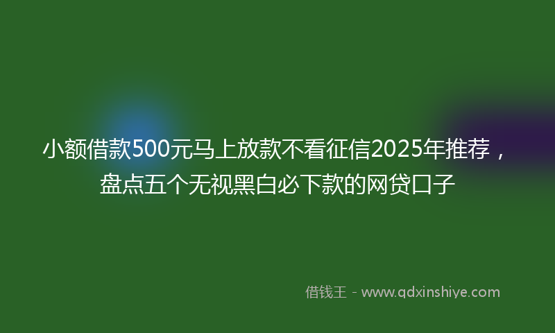 小额借款500元马上放款不看征信2025年推荐，盘点五个无视黑白必下款的网贷口子