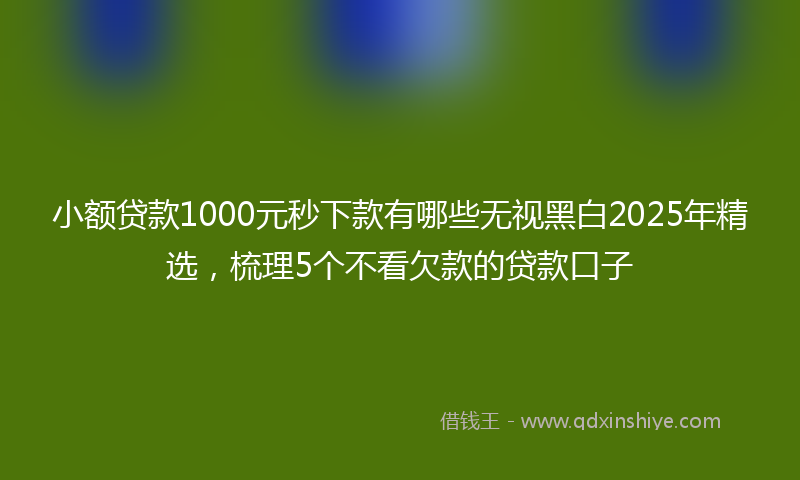 小额贷款1000元秒下款有哪些无视黑白2025年精选，梳理5个不看欠款的贷款口子
