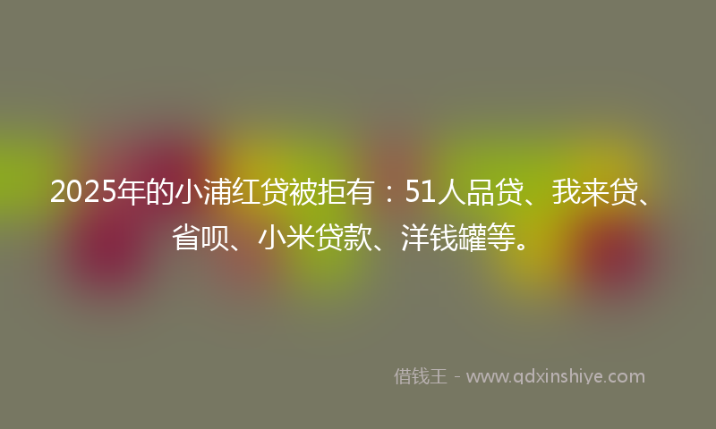 2025年的小浦红贷被拒有：51人品贷、我来贷、省呗、小米贷款、洋钱罐等。