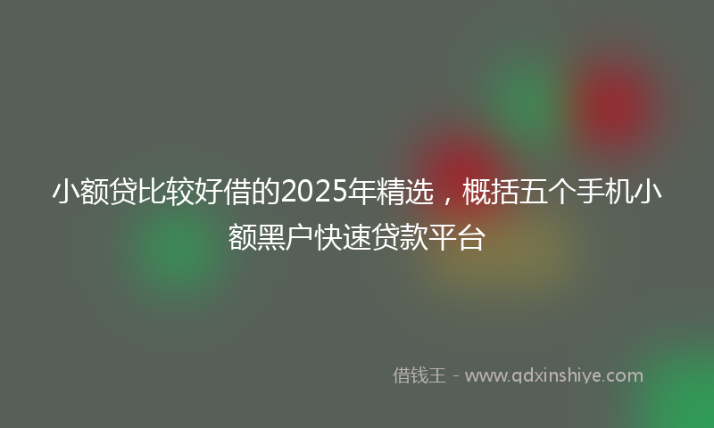 小额贷比较好借的2025年精选，概括五个手机小额黑户快速贷款平台
