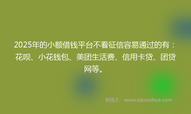2025年的小额借钱平台不看征信容易通过的有：花呗、小花钱包、美团生活费、信用卡贷、团贷网等。
