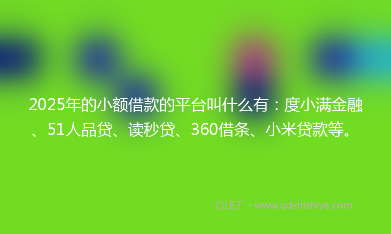 2025年的小额借款的平台叫什么有：度小满金融、51人品贷、读秒贷、360借条、小米贷款等。