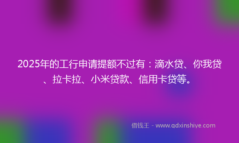 2025年的工行申请提额不过有：滴水贷、你我贷、拉卡拉、小米贷款、信用卡贷等。