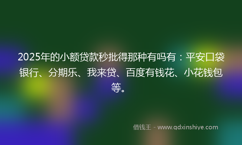 2025年的小额贷款秒批得那种有吗有：平安口袋银行、分期乐、我来贷、百度有钱花、小花钱包等。