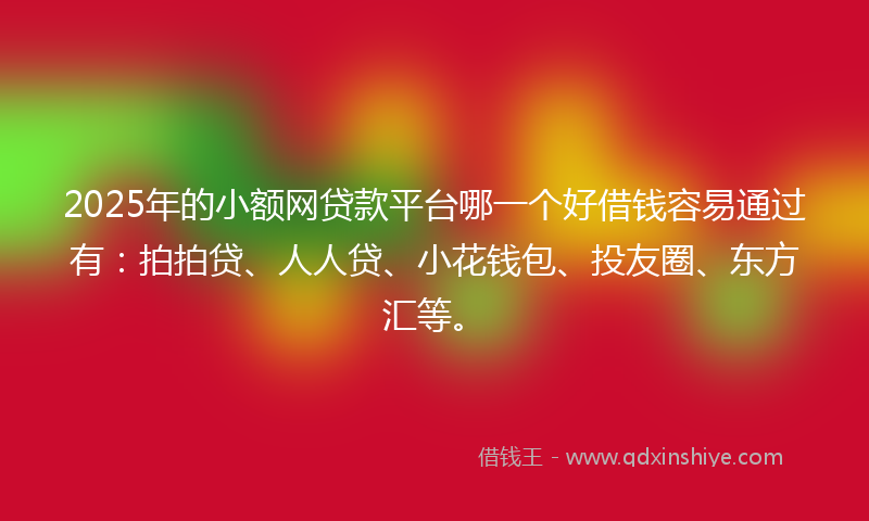 2025年的小额网贷款平台哪一个好借钱容易通过有：拍拍贷、人人贷、小花钱包、投友圈、东方汇等。
