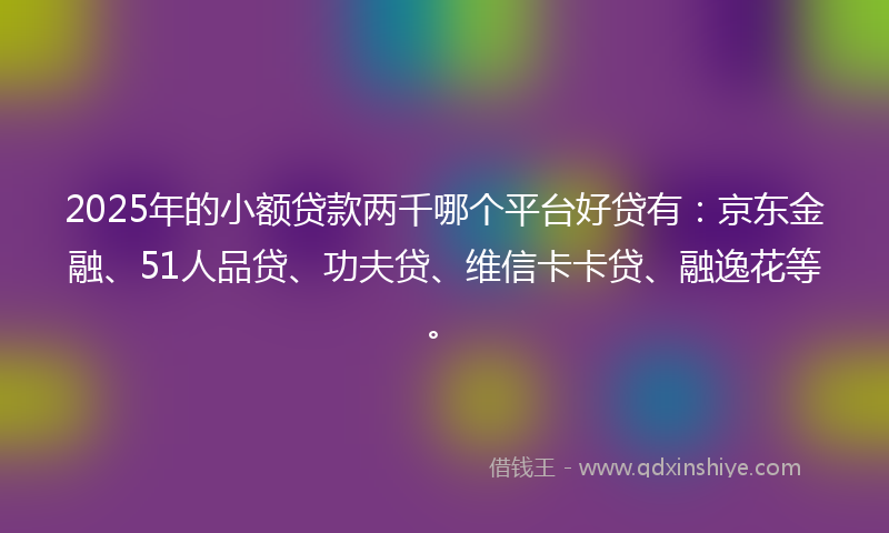 2025年的小额贷款两千哪个平台好贷有：京东金融、51人品贷、功夫贷、维信卡卡贷、融逸花等。